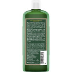 Logona Biologische Bier & Honing Volume Shampoo 500ml Logona Biologische Bier & Honing Volume Shampoo 500ml