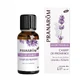 Pranarôm Les diffusables Champs De Provence Bio 30ml