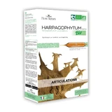 Flora Natura Organic Harpagophytum Articulations 20 vials