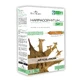 Flora Natura Articulaciones de Harpagophytum bio 20 ampollas