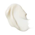 Korres Wild Rose Rich Moisture and Radiance Cream 40 ml Korres Wild Rose Rich Moisture and Radiance Cream 40 ml