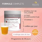 Biocyte Salute Collagene Flex 30x8g Goût Agrumes 240g Biocyte Salute Collagene Flex 30x8g Goût Agrumes 240g