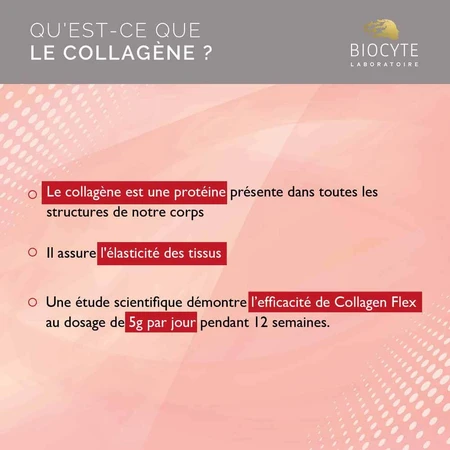 Biocyte Health Collagen Flex 30x8g Goût Agrumes 240g