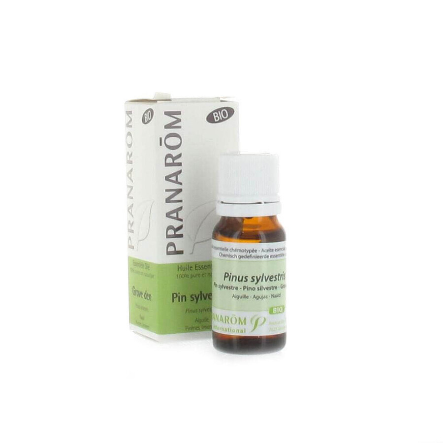 Comprar Pranarôm Essential Oils Aceite esencial de Pino silvestre BIO 10 ml Pranarôm Essential Oils Aceite esencial de Pino silvestre BIO 10 ml