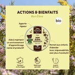 Biofloral Kauwgom Bon Elève Bio 45g Biofloral Kauwgom Bon Elève Bio 45g