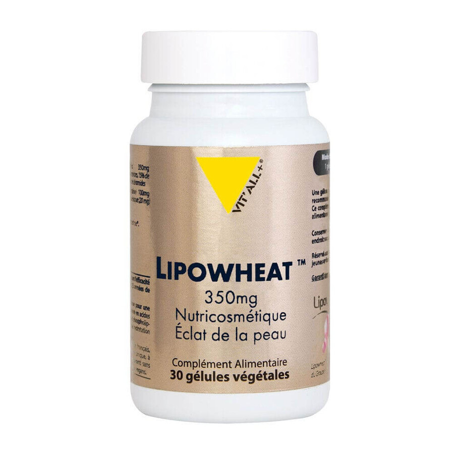 Vit'All+ Lipowheat™ 350 mg 30 vegetarian capsules