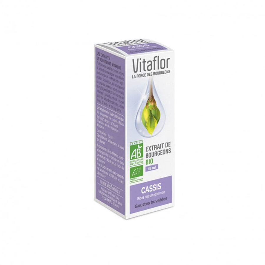 Vitaflor Estratto di gemme di ribes nero biologico 15ml