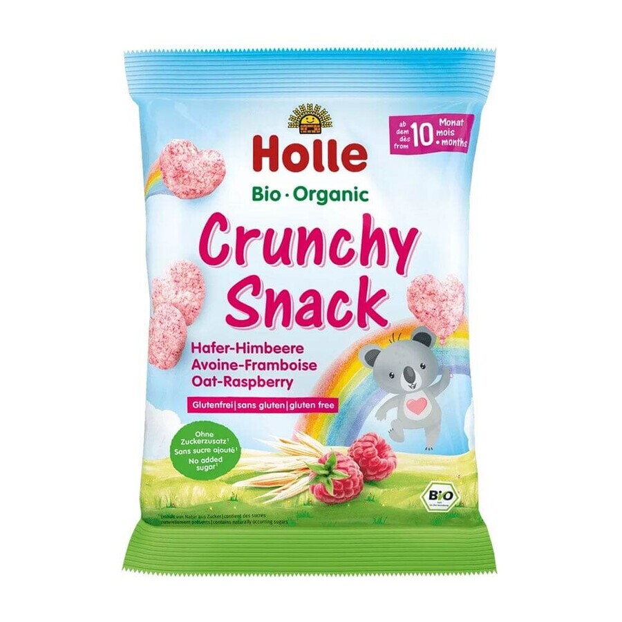 Winkel op Holle Pural Crunchy Snack Bio Avoine-Framboise Dès 10 Mois 30g Holle Pural Crunchy Snack Bio Avoine-Framboise Dès 10 Mois 30g