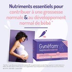 Effik Gynéfam Pregnancy Supra 90 Capsules