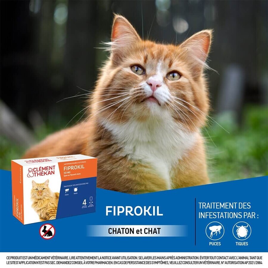 Clement-Thekan FIprokil Anti-Puces Anti-Tiques Chats 1kg et + 4 Pipettes 50mg