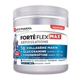 Forté Pharma Forté Flex Max Articulations 5g Colagen Marin Goût Pêche - Menthe 260g