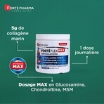 Forté Pharma Forté Flex Max Articulations 5g Collagène Marin Goût Pêche - Menthe 260g