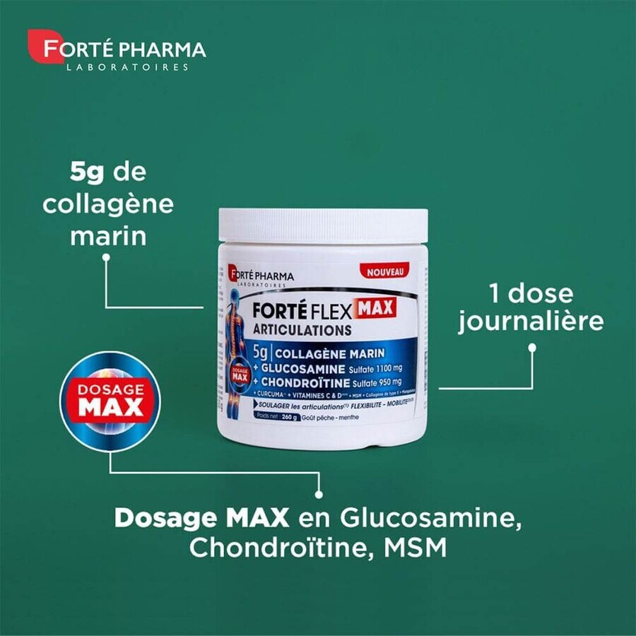 Forté Pharma Forté Flex Max Articulations 5g Collagène Marin Goût Pêche - Menthe 260g Forté Pharma Forté Flex Max Articulations 5g Collagène Marin Goût Pêche - Menthe 260g