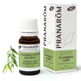 Pranarôm Etherische oliën Eucalyptus Radie Bio 10ml