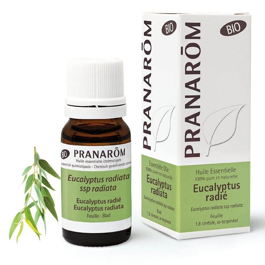 Comprar Pranarôm Aceites Esenciales Eucalipto Radie BIO 10ml Pranarôm Aceites Esenciales Eucalipto Radie BIO 10ml