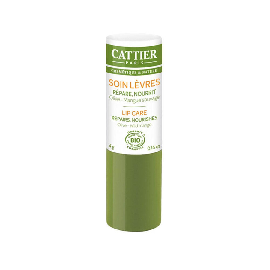Cattier Organic Treatment Lip Stick - 4g