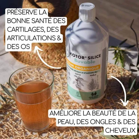 Kotor Pharma Silice Buvable Silicium Organique 1l