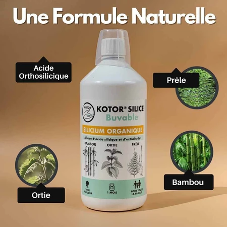 Kotor Pharma Silice Buvable Silicium Organique 1l