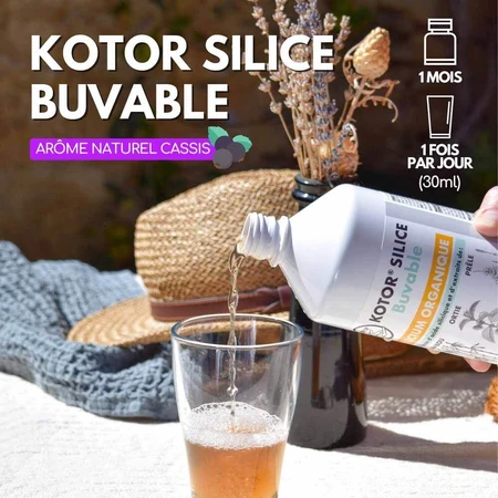 Kotor Pharma Silice Buvable Silicium Organique 1l