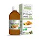 Propos&#39;Nature Sirop Propolis Verte Bio 200ml
