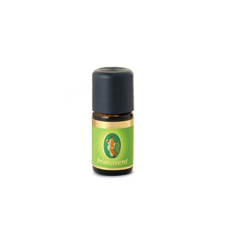 Acquista Primavera Olio Essenziale Di Eucalyptus Globulus - Biolife 5ml Primavera Olio Essenziale Di Eucalyptus Globulus - Biolife 5ml