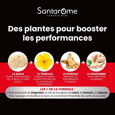 Santarome Maca 1500 Tribulus Ginseng Gingembre Tonus Sexuel 30 Comprimés