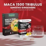 Santarome Maca 1500 Tribulus Tonus Sexuel 30 Comprimés Santarome Maca 1500 Tribulus Tonus Sexuel 30 Comprimés