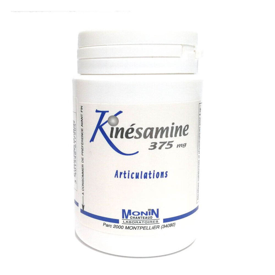 Buy Monin Chanteaud Kinesamine 375mg 120 tablets Monin Chanteaud Kinesamine 375mg 120 tablets