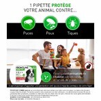 Frontline Combo Spot-on Chien XL Plus de 40kg 3 Pipettes de 4,02ml