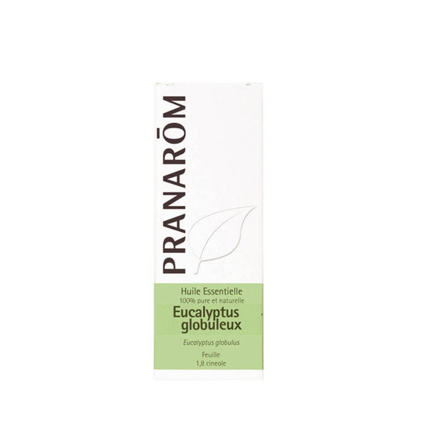 Boutique Pranarôm Les Huiles Essentielles Huile Essentielle D'eucalyptus Globuleux 10 ml Pranarôm Les Huiles Essentielles Huile Essentielle D'eucalyptus Globuleux 10 ml