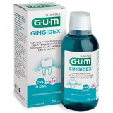 Zahnfleisch Gingidex Bad 300 ml