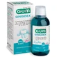 Gom Gingidex Bad 300 ml