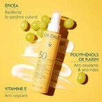 Caudalie Vinosun Spray Solar Spf50 Rostro y Cuerpo 150ml Caudalie Vinosun Spray Solar Spf50 Rostro y Cuerpo 150ml