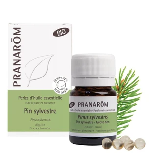 Pranarôm Essentiële Oliën Biologische grove den 60 Parels