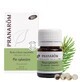 Pranar&#244;m Essential Oils Organic Scots Pine 60 Pearls