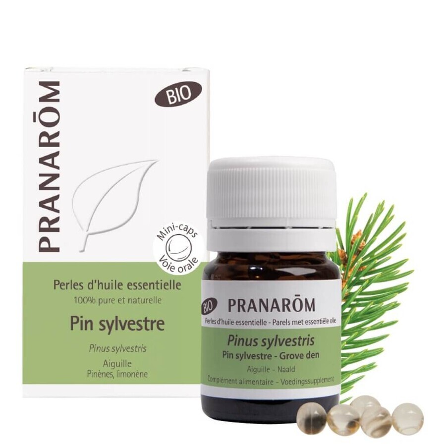 Cumpără Pranarôm Uleiuri esențiale organice de pin silvestru 60 Perle Pranarôm Uleiuri esențiale organice de pin silvestru 60 Perle