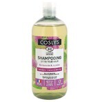 Coslys Detox Champú Frescor Bio Cabello Graso 500ml