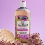 Coslys Detox Champú Frescor Bio Cabello Graso 500ml