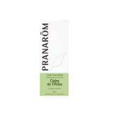 Pranarôm Les Huiles Essentielles Huile Essentielle De Cedre De L'atlas 10ml