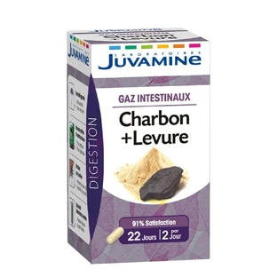 Juvamine Carbón Vegetal + Levadura 45 Gelule
