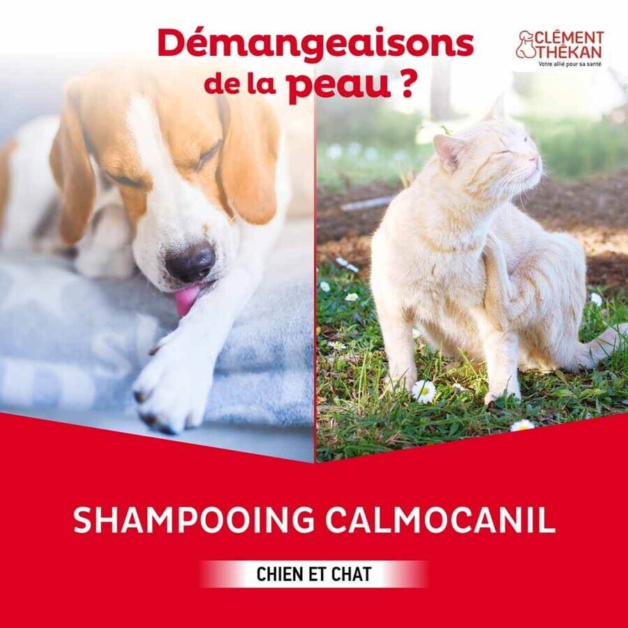 Clement-Thekan Calmocanil anti-itch shampoo for dogs and cats Chien Chat 200 ml