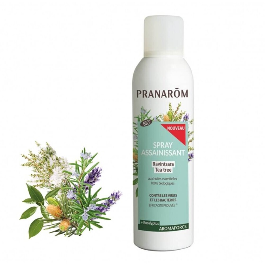 Pranarôm Aromaforce Ravintsara - Organic Tea Tree Purifying Spray 150 ml