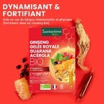 Santarome Ginseng Royale Guaranà Acerola 20 Fiale Biologiche Vitalité 20 ampoules Santarome Ginseng Royale Guaranà Acerola 20 Fiale Biologiche Vitalité 20 ampoules