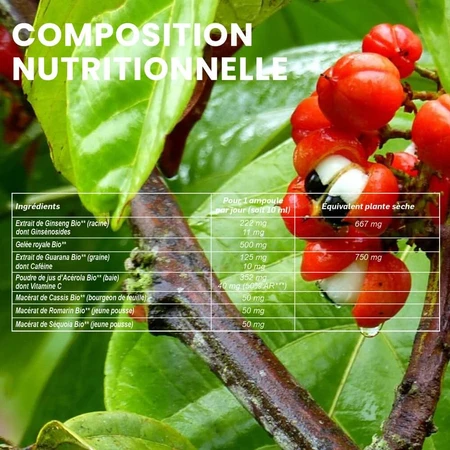 Santarome Ginseng Royale Guarana Acerola 20 Bio Vitalité 20 Ampullen