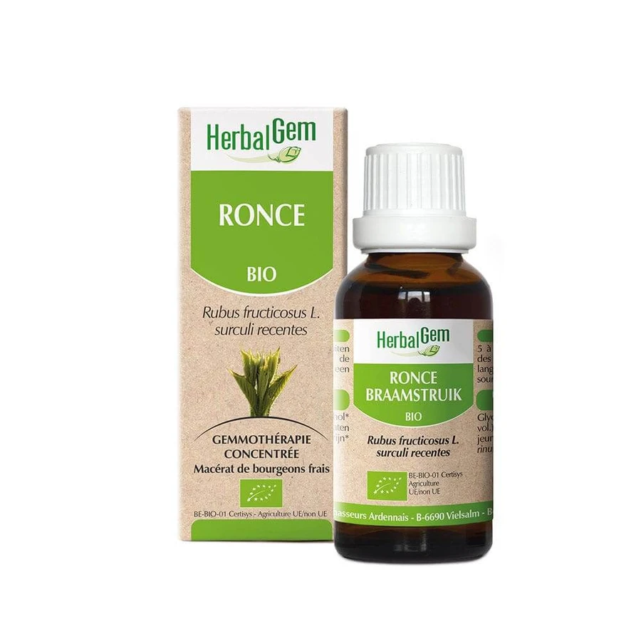 Kräutergarten Bramble Bio 30ml