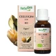 Herbalgem Gemmotherapie-Komplexe Celluligem Bio-Linie 30ml