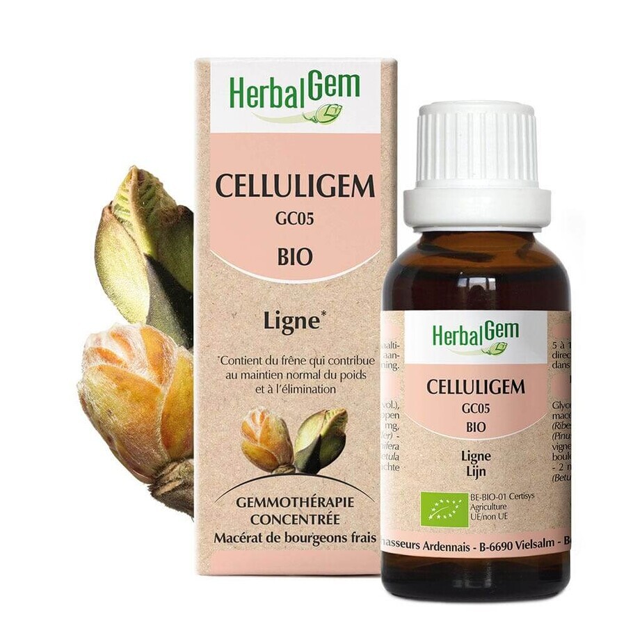 Herbalgem Gemmotherapie-Komplexe Celluligem Bio-Linie 30ml