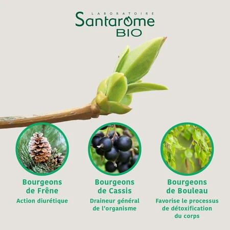 Santarome Complexe Detox Minceur Bio Gémmothérapie 30 ml