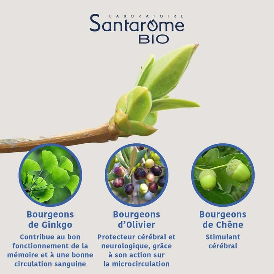 Santarome Complesso organico della memoria Gémmothérapie 30 ml