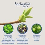 Santarome Complesso organico della memoria Gémmothérapie 30 ml Santarome Complesso organico della memoria Gémmothérapie 30 ml